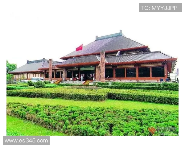 武汉排球队的奋斗历程与荣耀时刻全景纪实